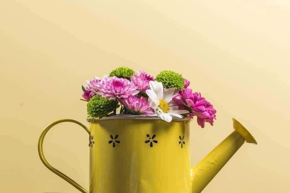 Yellow watering can - khanhdev-1